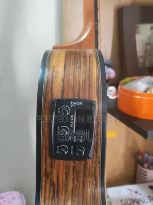 ডিভাইসার এলএস-১৬১-এন ইলেকট্রো-অ্যাকুস্টিক গিটার