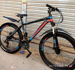 ফয়েনিক্স আরগাস বাইসাইকেল বিক্রি হবে