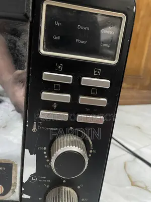Electric Oven