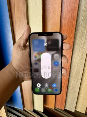 Apple iPhone 12 Pro Max 256 GB Blue