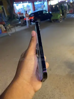 অ্যাপল আইফোন ১২ প্রো ম্যাক্স ২৫৬ জিবি নীল