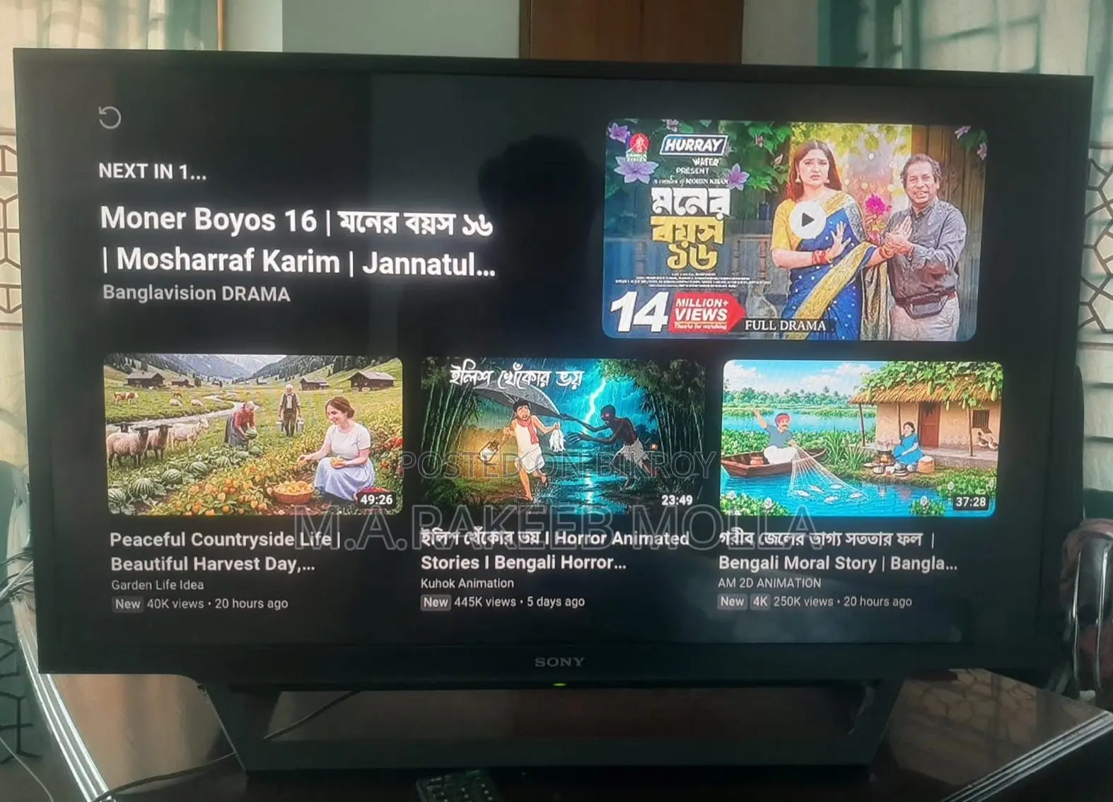 সনি ব্রাভিয়া ৩২ ইঞ্চি স্মার্ট টিভি