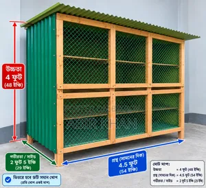Cage for keeping 40 chickens