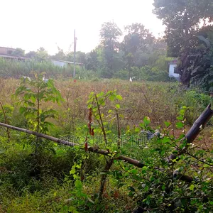 বিরুলিয়া ২০ ফিট রাস্তার সাথে ৫.৫ শতাংশ জমি বিক্রি হবে