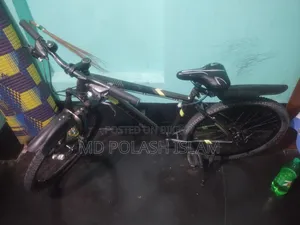 ফনিক্স সাইকেল