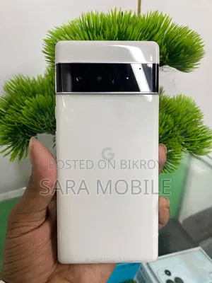 গুগল পিক্সেল ৬ প্রো ১২৮ জিবি সিলভার