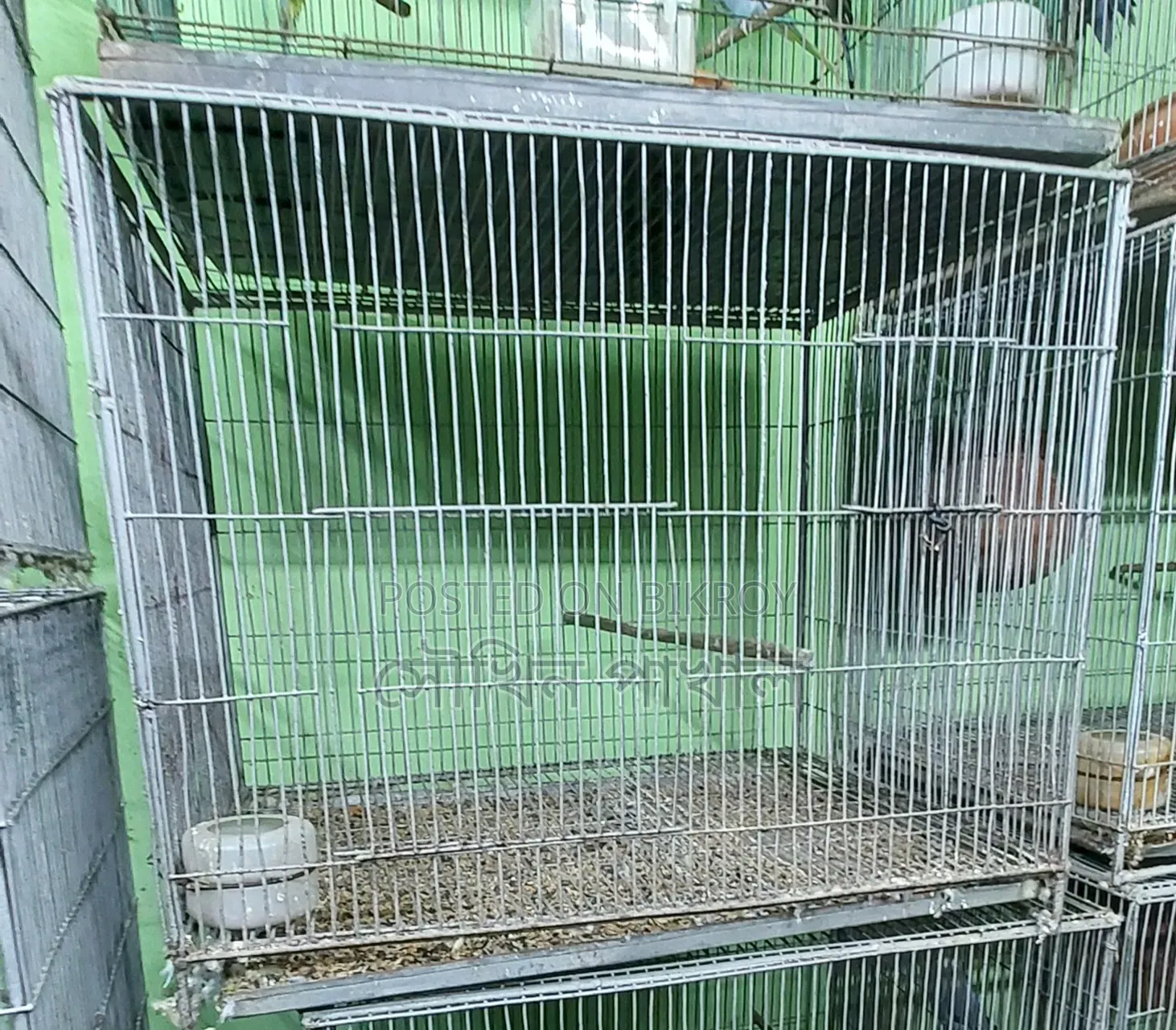 Bird Cage