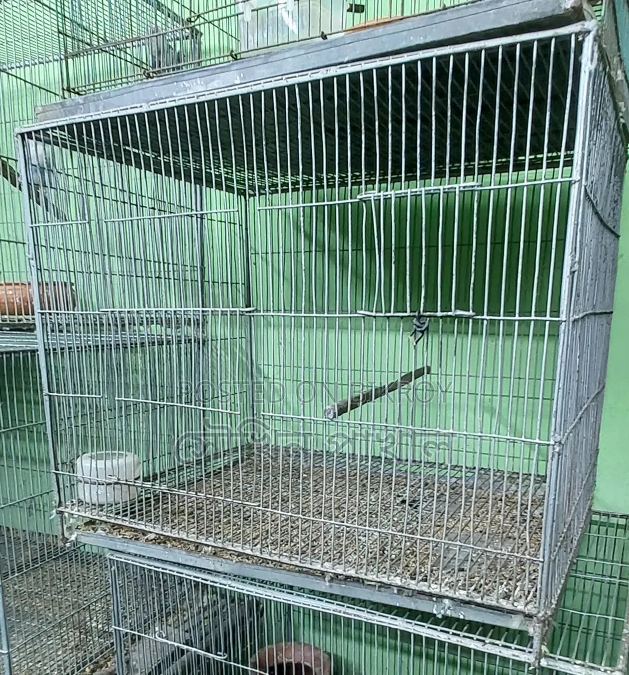 Bird Cage