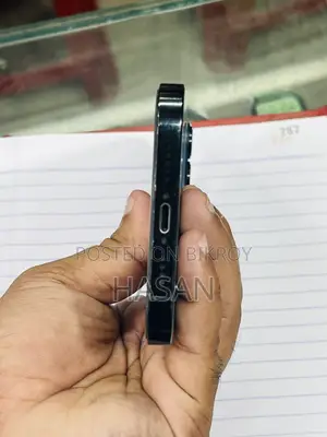 অ্যাপল আইফোন ১২ প্রো ম্যাক্স ১২৮ জিবি নীল