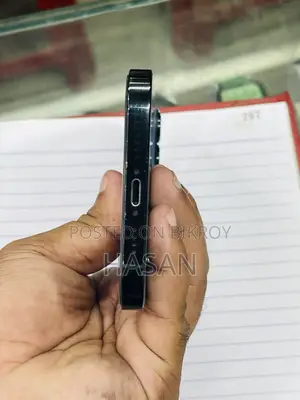 অ্যাপল আইফোন ১২ প্রো ম্যাক্স ১২৮ জিবি নীল