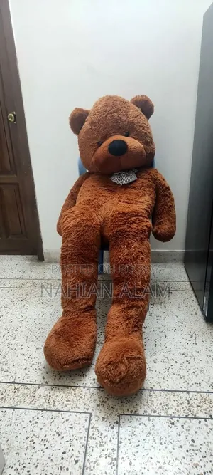 Teddy Bear