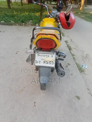 জংশেন উইন ১০০ ২০১১ ইয়েলো
