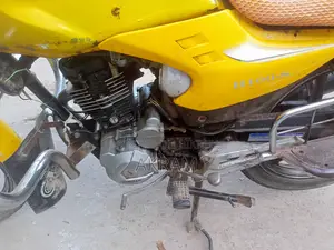 জংশেন উইন ১০০ ২০১১ ইয়েলো