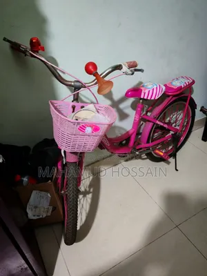 Girls Bicycle