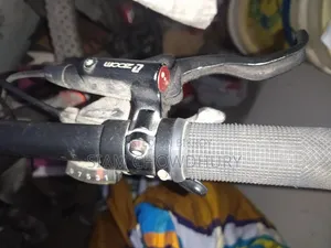 মুস্তাং লিজেন্ড ২২