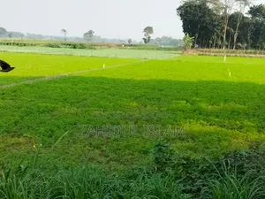 33.52 Decimal Land for Sale