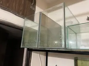 2 Feet Aquarium