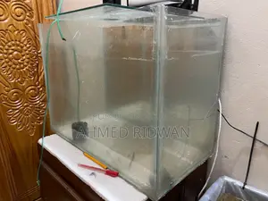 2 Feet Aquarium
