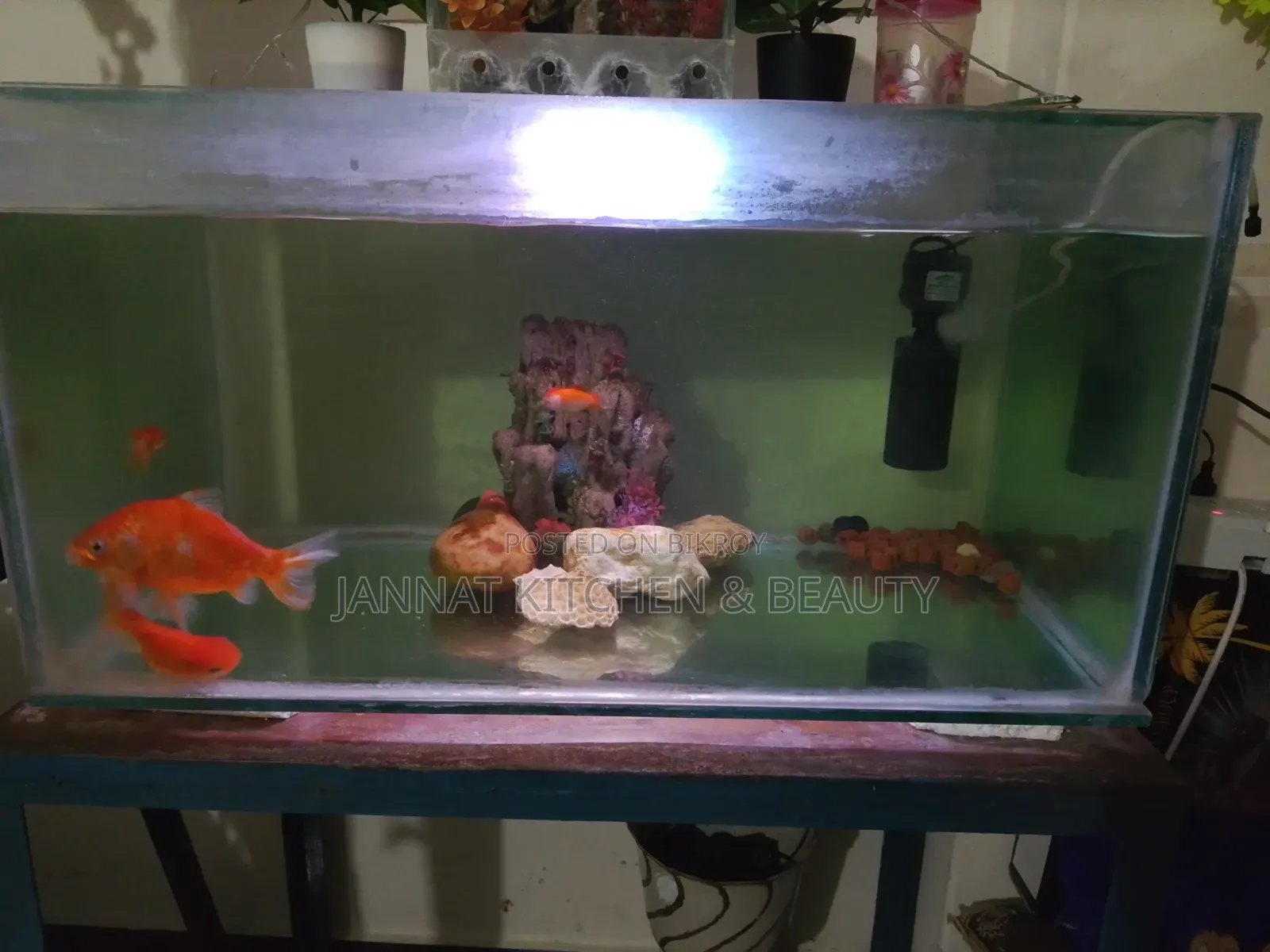 2.5 ft aquarium for sale with 4 goldfish