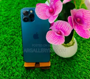 Apple iPhone 12 Pro Max 256 GB Blue