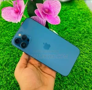 Apple iPhone 12 Pro Max 256 GB Blue