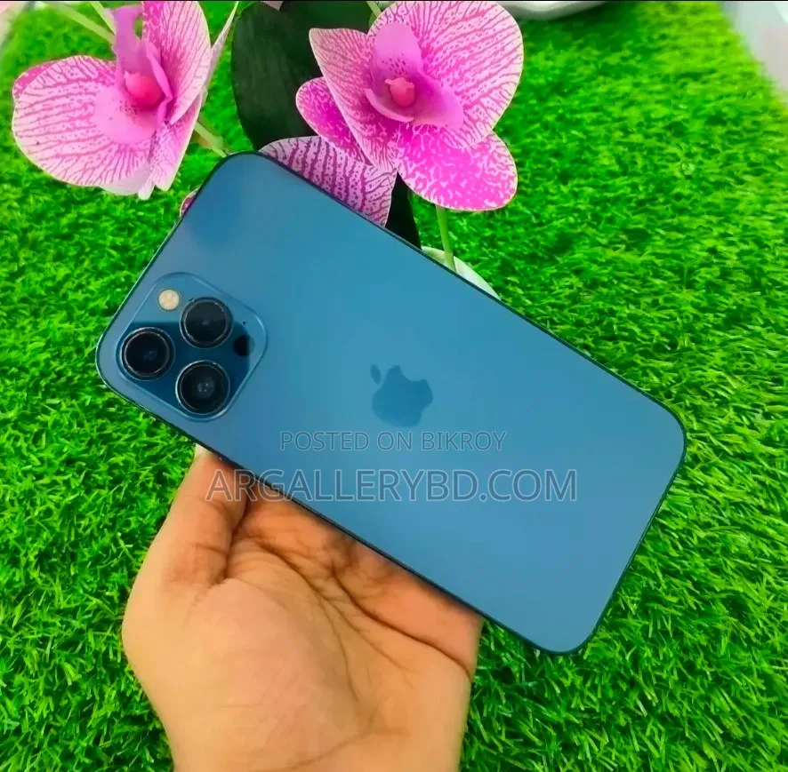 Apple iPhone 12 Pro Max 256 GB Blue