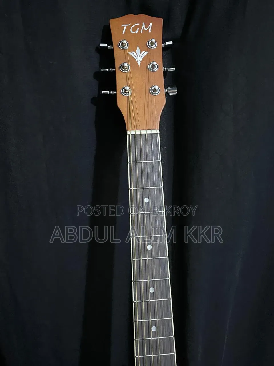 Acoustic Guitar