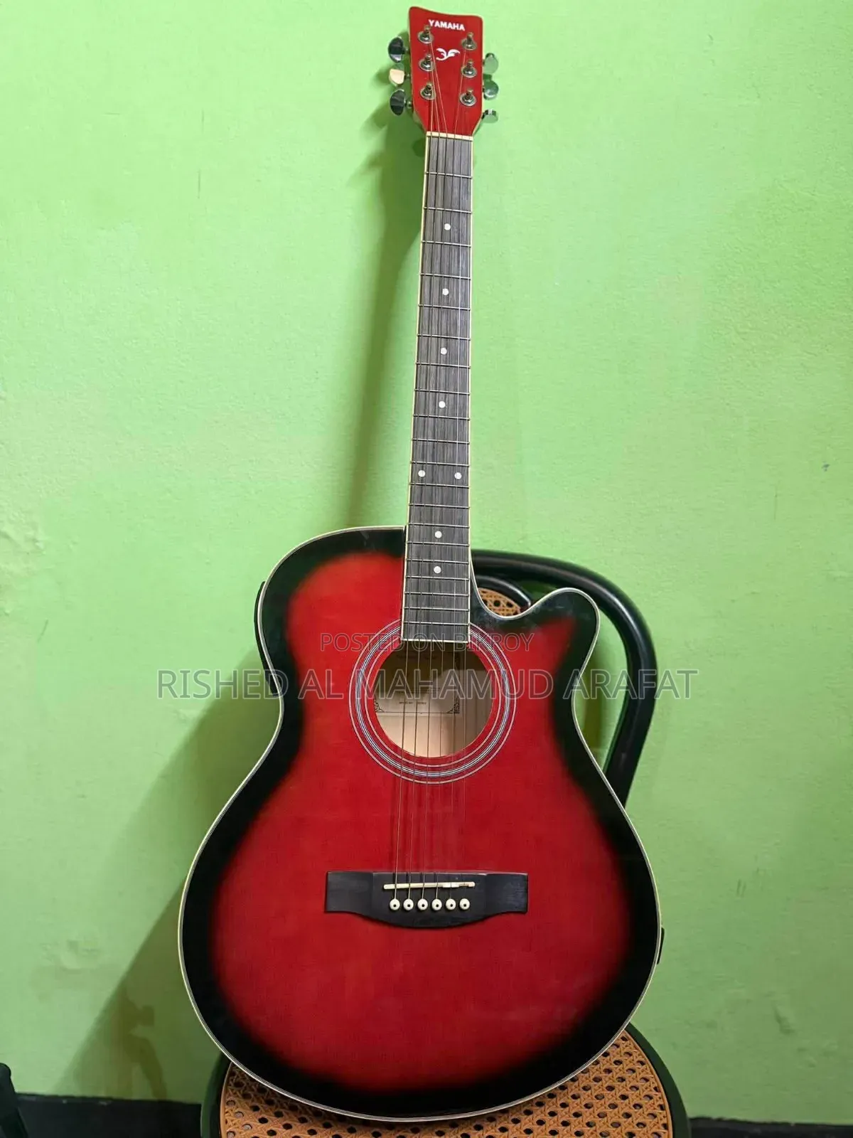 Brand New Guitar Never Used.