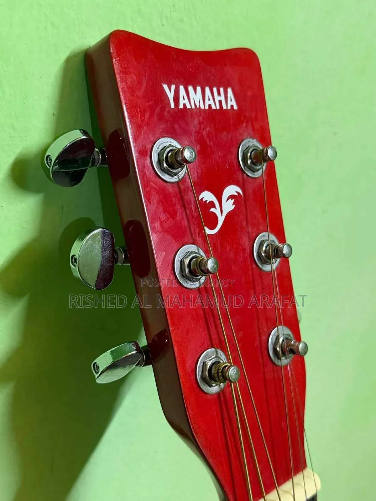 Brand New Guitar Never Used.