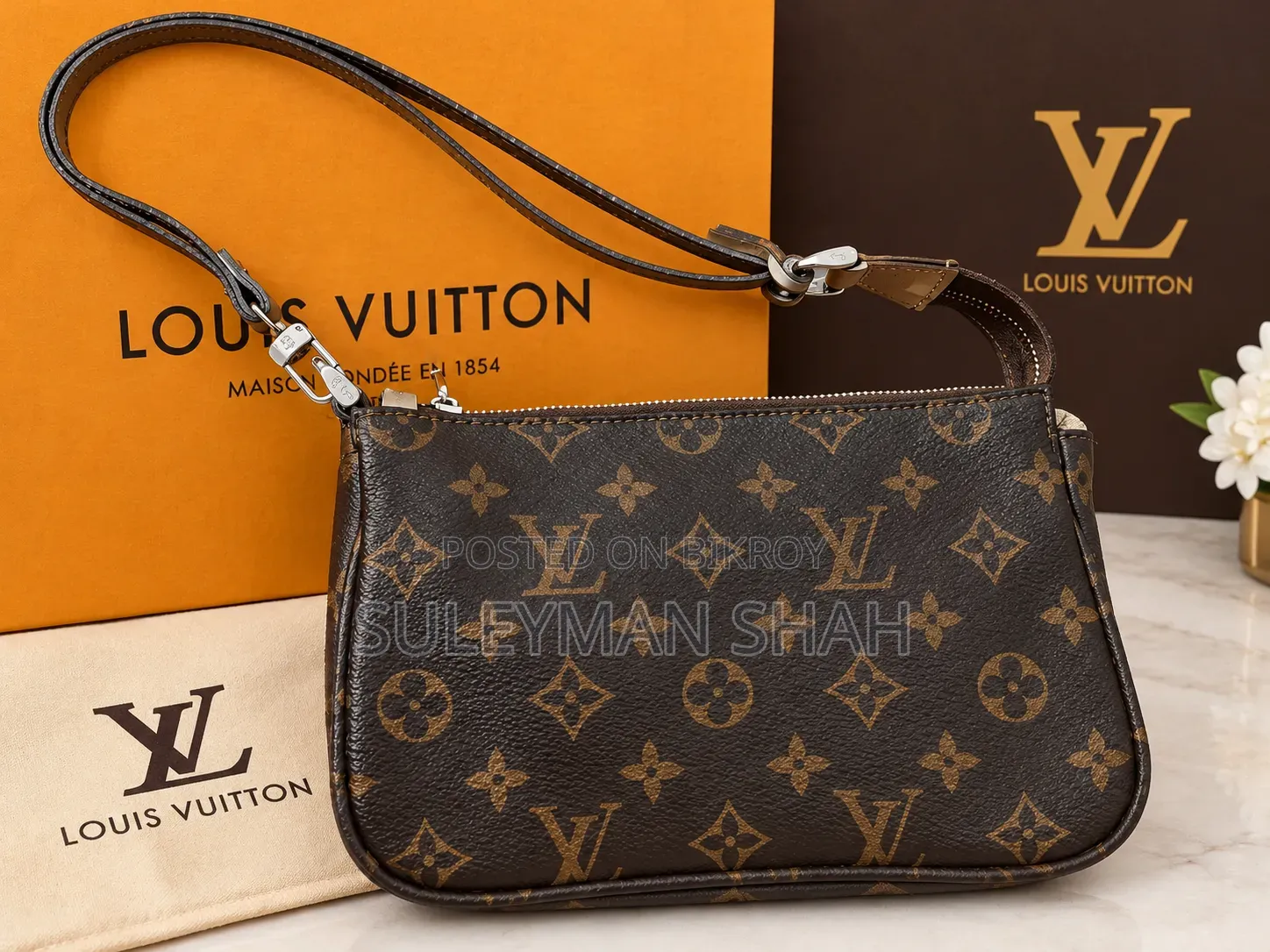 Premium Louis Vuitton Bag (France)