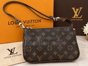 Premium Louis Vuitton Bag (France)