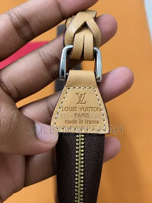 Premium Louis Vuitton Bag (France)