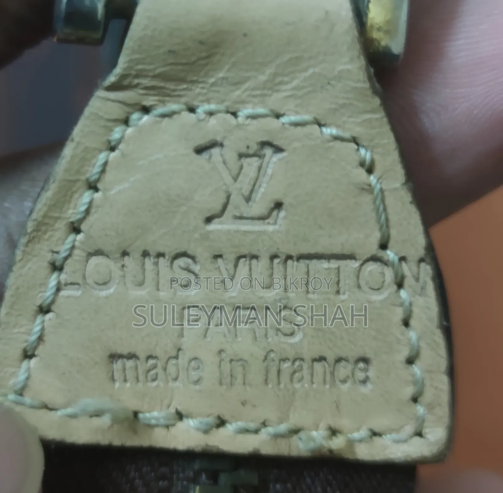 Premium Louis Vuitton Bag (France)
