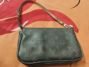 Premium Louis Vuitton Bag (France)
