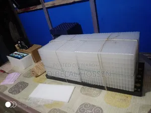 অটোমেটিক ইনকিউবেটর