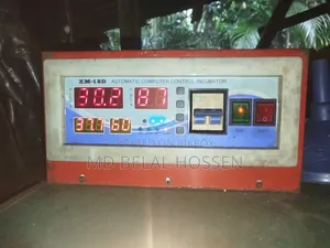 অটোমেটিক ইনকিউবেটর