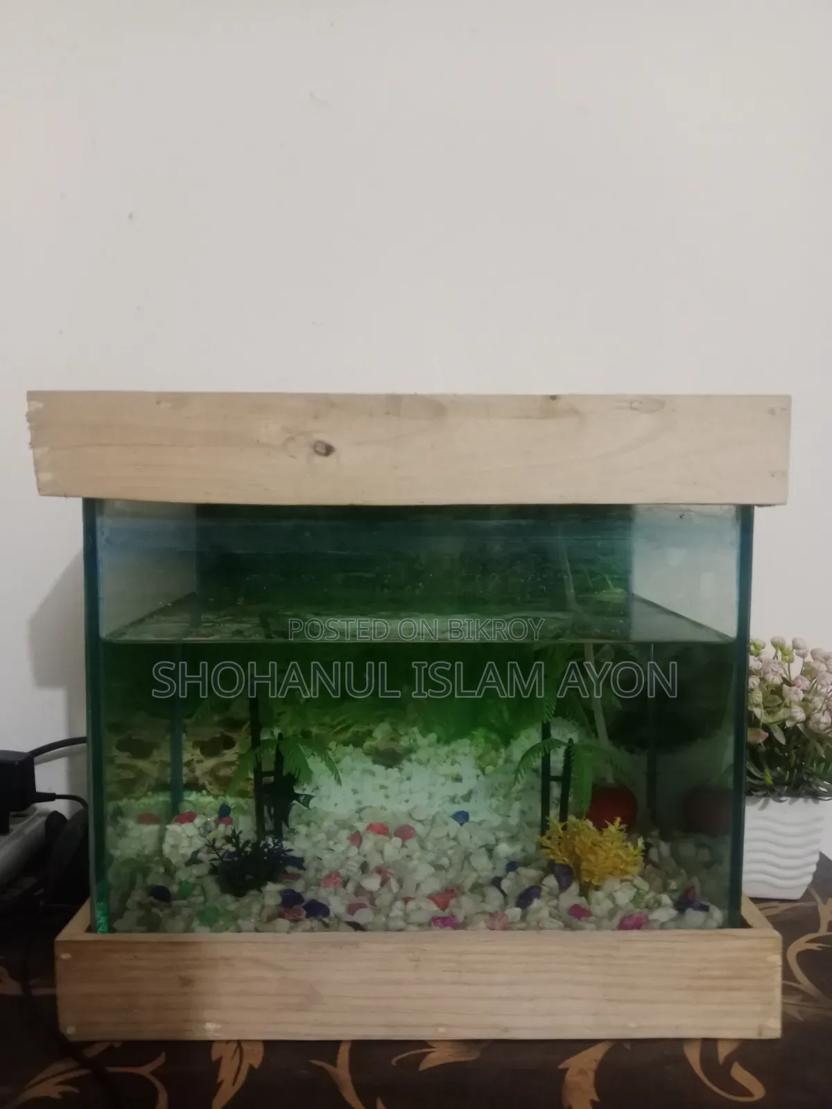 The aquarium will be sold.