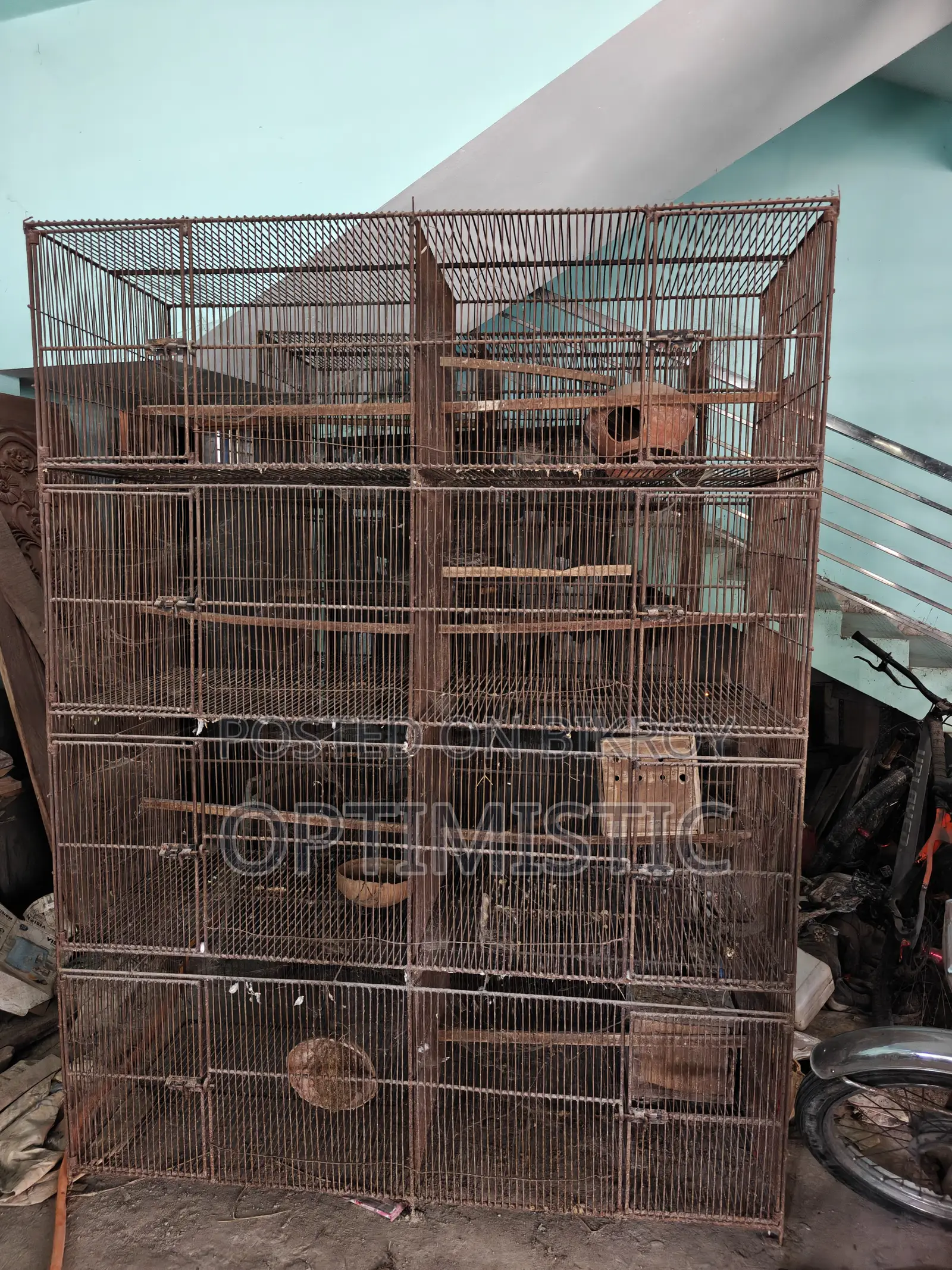 Bird Cage Metal