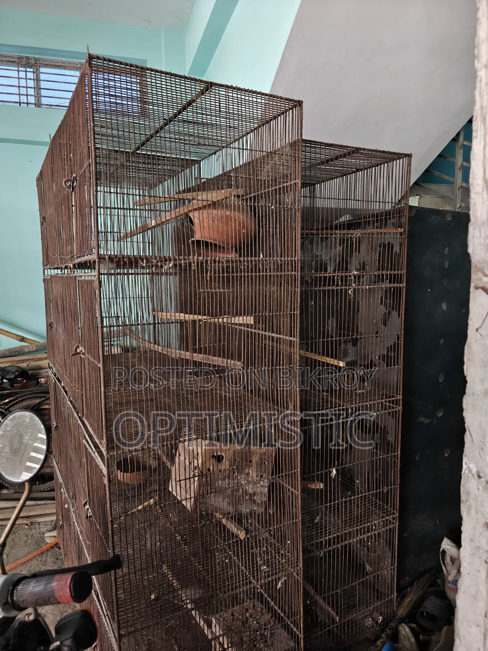 Bird Cage Metal