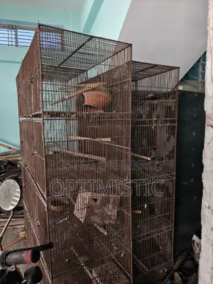 Bird Cage Metal