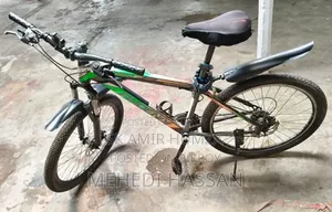 সাইকেল ১০০% ঠিক আছে