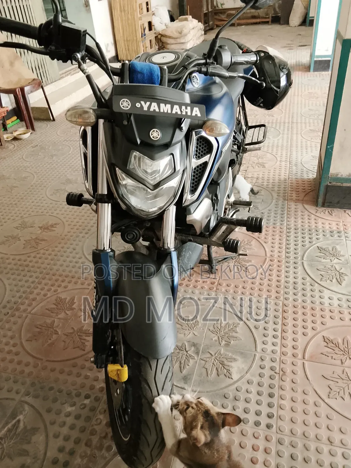 Yamaha FZS V3 ২০২২ গ্রিন