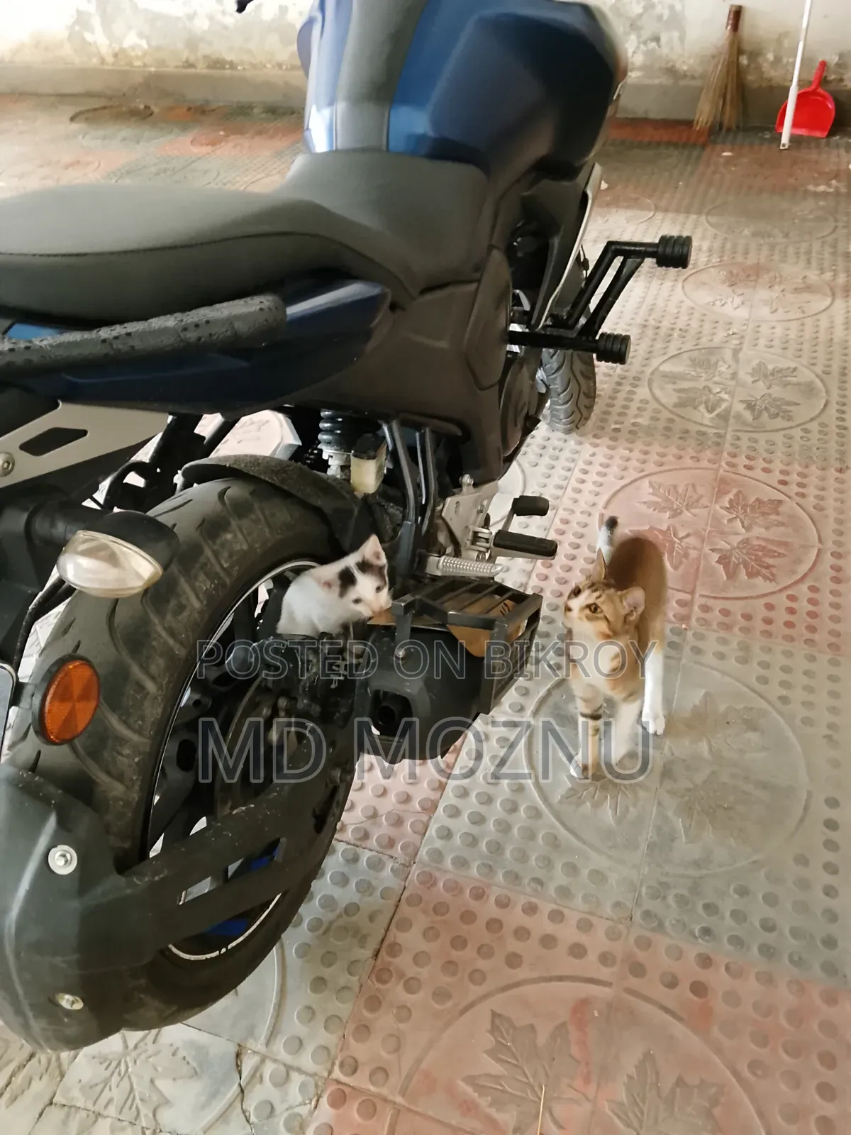 Yamaha FZS V3 ২০২২ গ্রিন