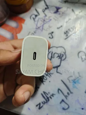 Apple White Charger