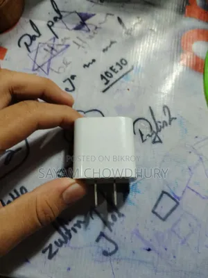 Apple White Charger