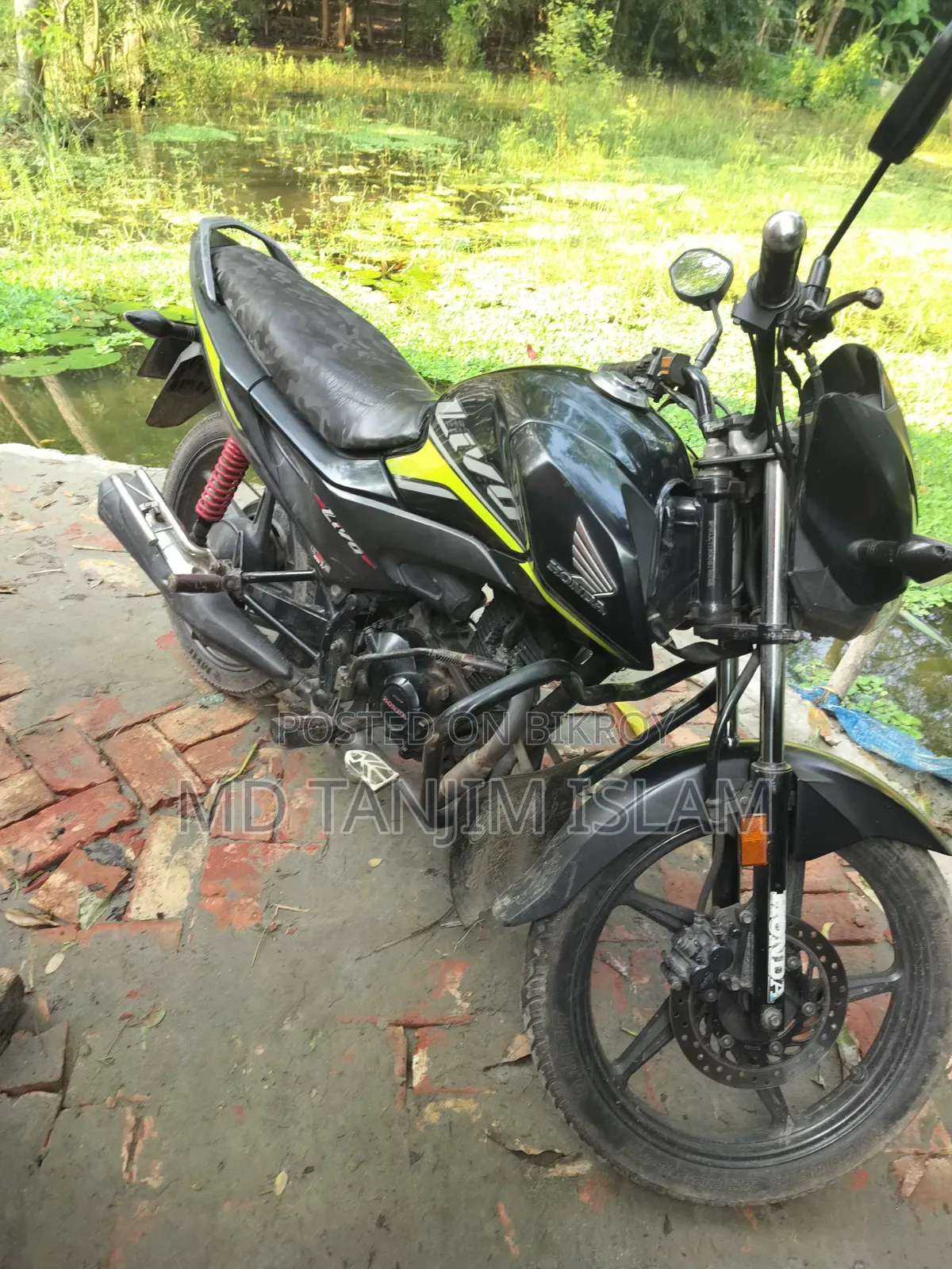 Honda Livo 2021 Green