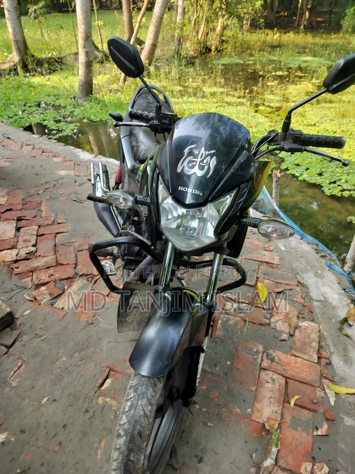 Honda Livo 2021 Green