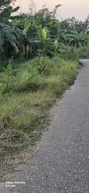 পূর্বাচল মনোরম পরিবেশ প্রাকৃতিক বনের পাশে ৫ কাঠা প্লট বিক্রি হবে