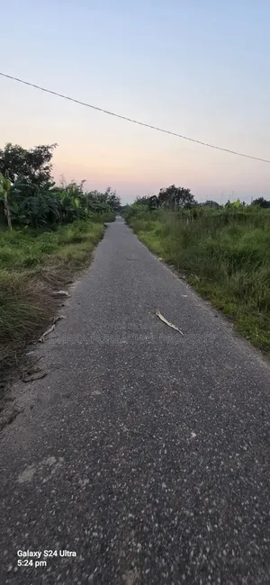 পূর্বাচল মনোরম পরিবেশ প্রাকৃতিক বনের পাশে ৫ কাঠা প্লট বিক্রি হবে