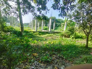 2 Katha Land